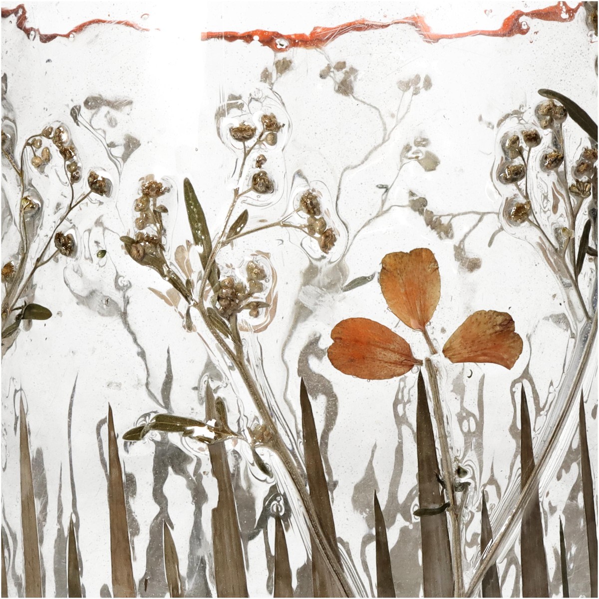 Schilliger Sélection  Photophore fleurs séchées transparent  15x15cm