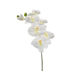 Schilliger Sélection  Phalaenopsis en branche artificiel Blanc 80cm