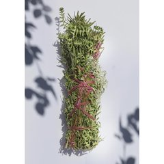   Bouquet du Hérisson pour fumigation: rameaux d'abies, fougère aigle, bruyère, lichen  