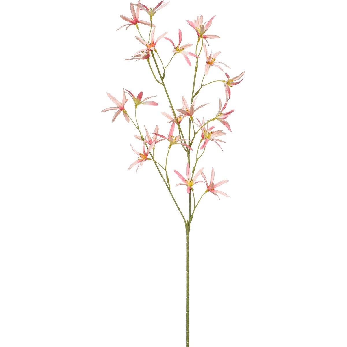   Star flower en branche artificielle Rouge rose 70cm