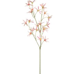  Star flower en branche artificielle Rouge rose 70cm