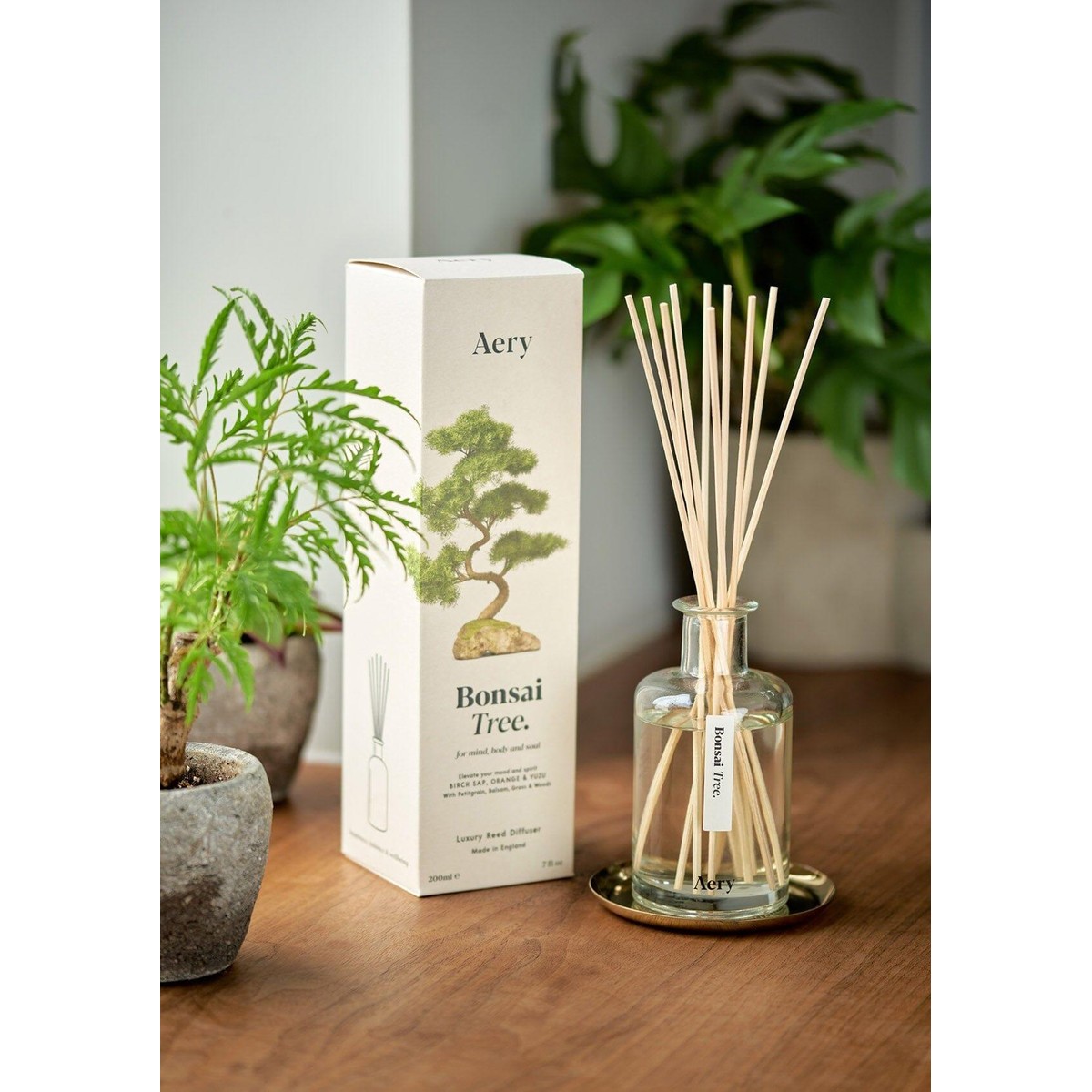 Schilliger Sélection Botanical Diffuseur Bonsai Tree  200ml