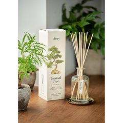 Schilliger Sélection Botanical Diffuseur Bonsai Tree  200ml