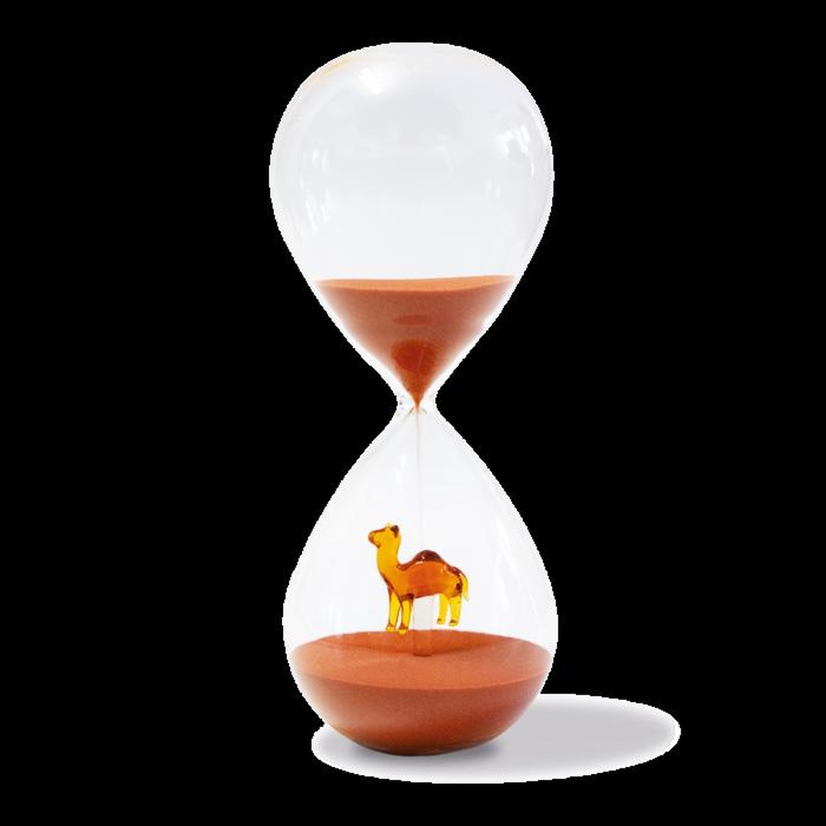  WD Sablier Décor Chameau, en borosilicate  