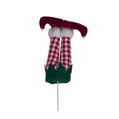 Schilliger Sélection  Pieds de Lutin  60cm