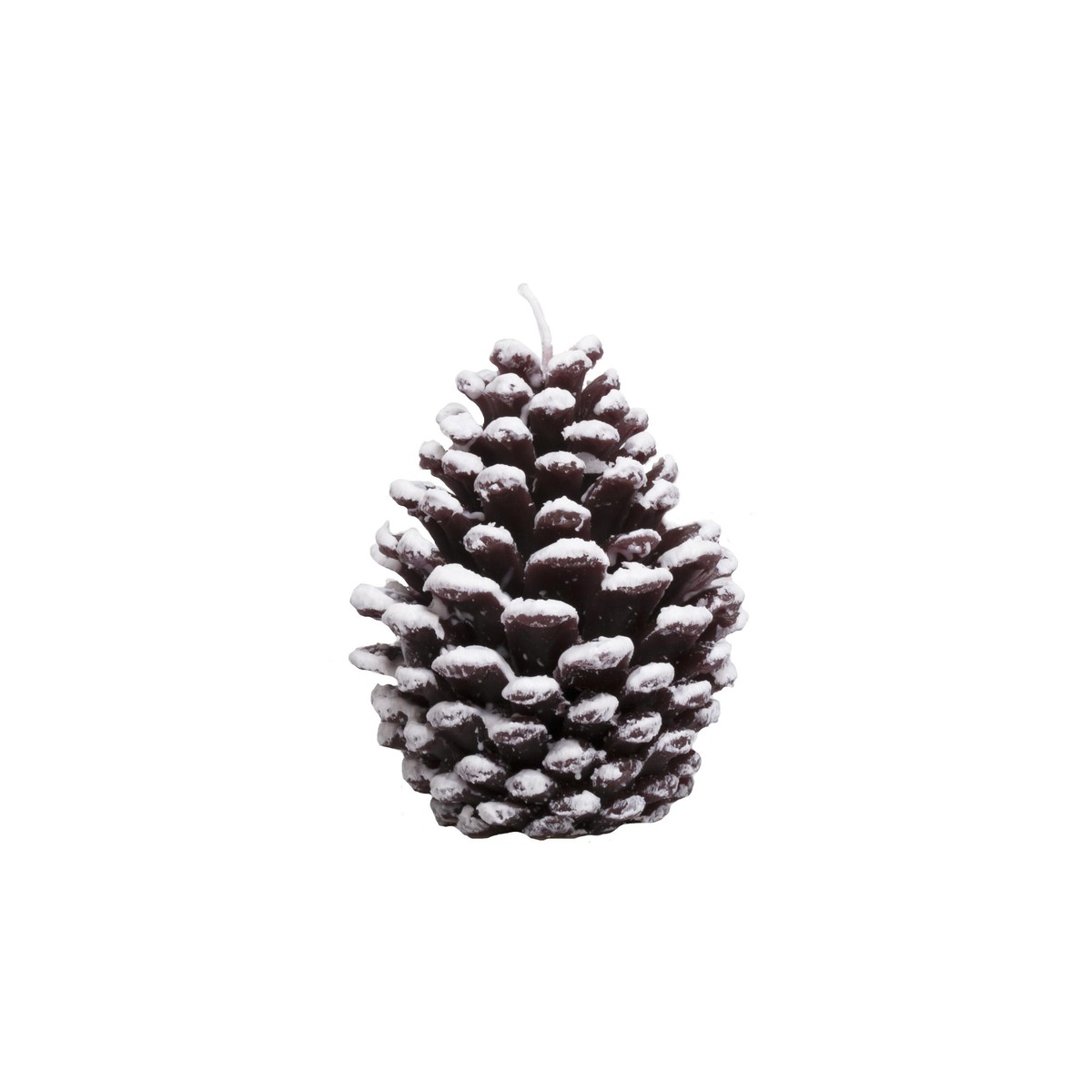 Schilliger Design  Bougie Pomme de pin  10.2x10.2x12.2cm