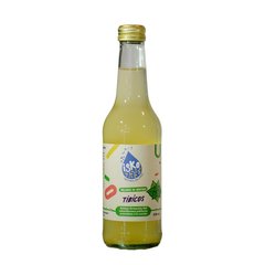 ISKO  Water Kéfir Menthes  33cl