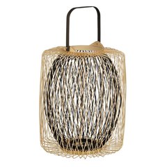 Schilliger Sélection  Lanterne bicolors Sans couleur 32x38cm