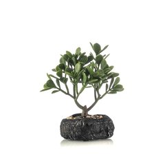   Bonsai crassula artificiel  24cm