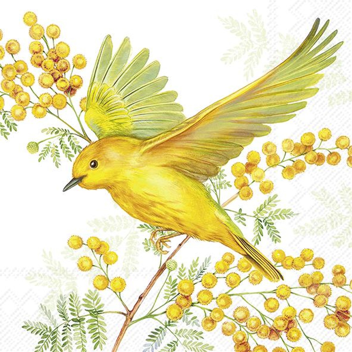 Ihr  Serviettes Cocktail Joy of Spring  25x25cm