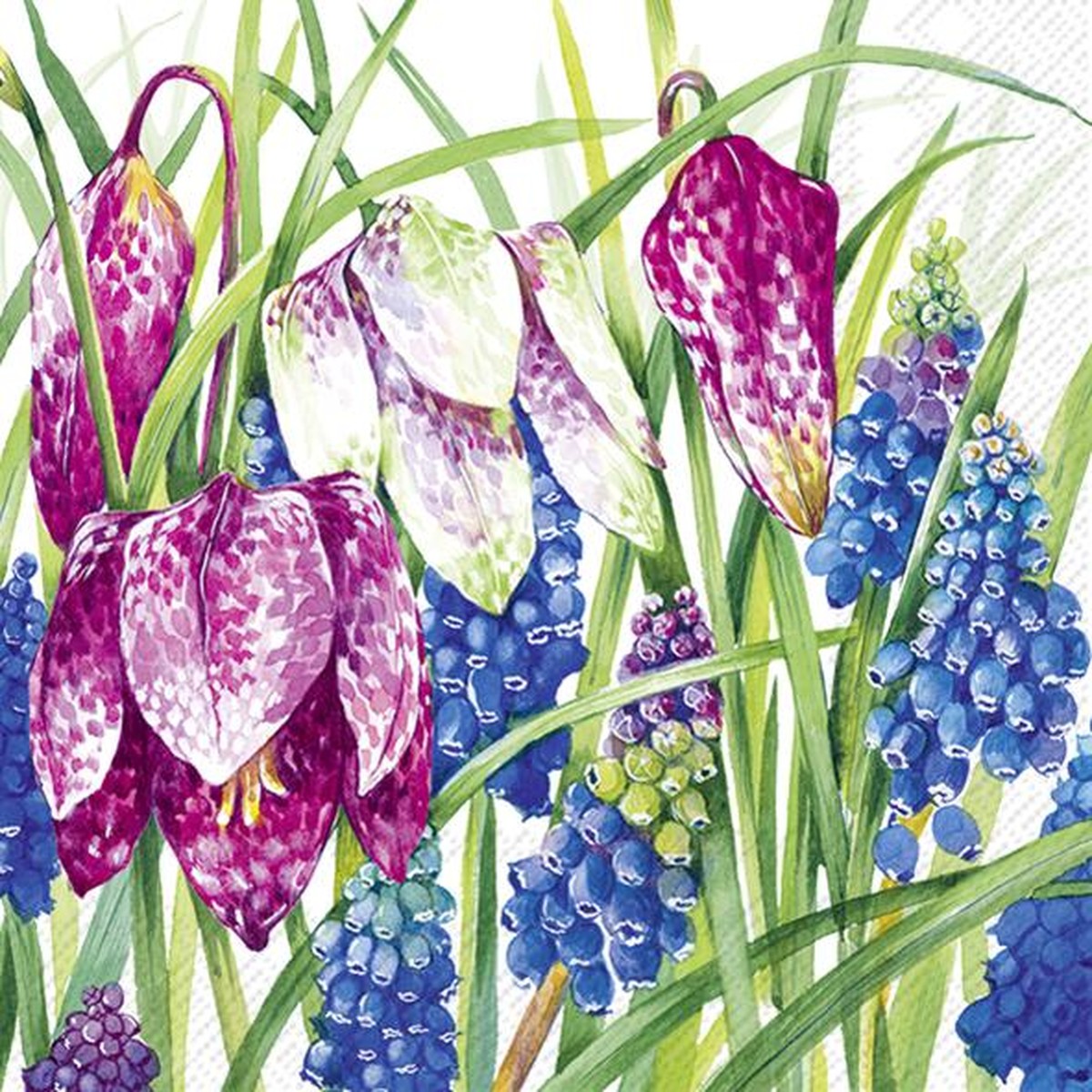 Ihr  Serviettes Cocktail Spring Season  25x25cm