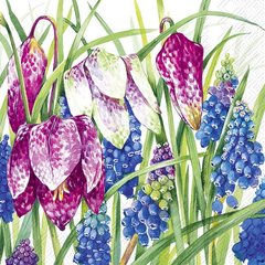 Ihr  Serviettes Cocktail Spring Season  25x25cm