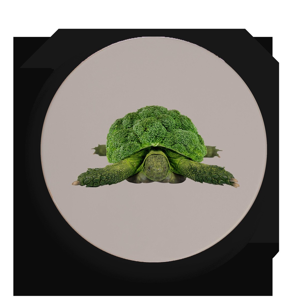 Easy Life Turtle Dessous de plat Turtle rond  18cm