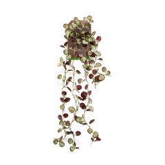   Ceropegia woodii artificielle retombante, chaîne des cœurs  85cm