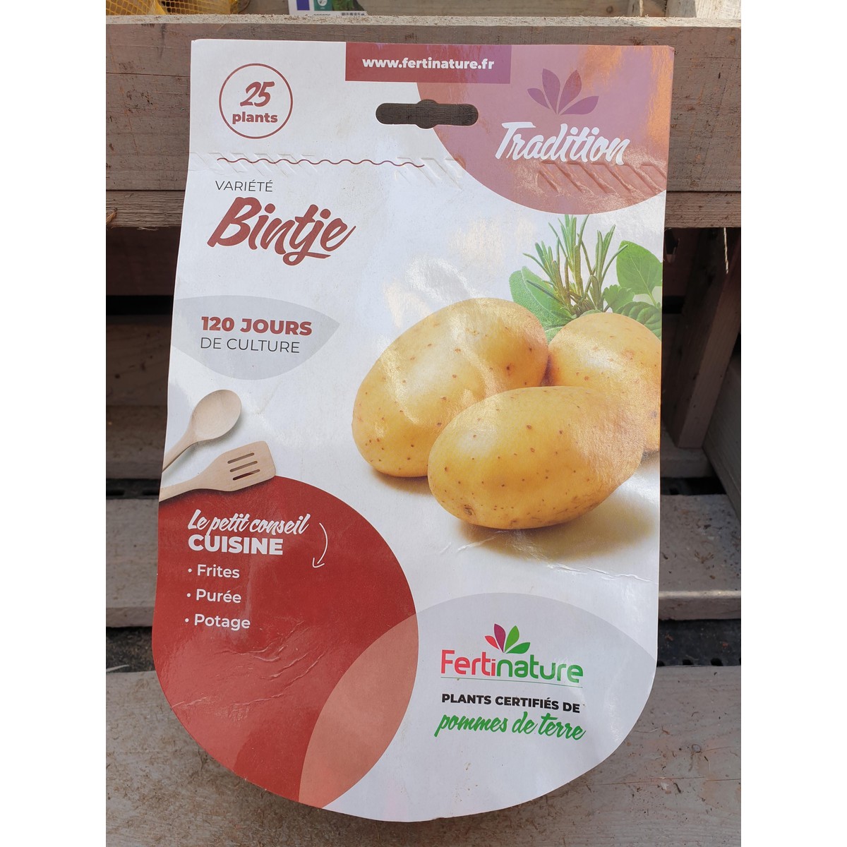 25 Plants De Pomme De Terre Bintje - Certifiés France, Idéal Frites Et Purée