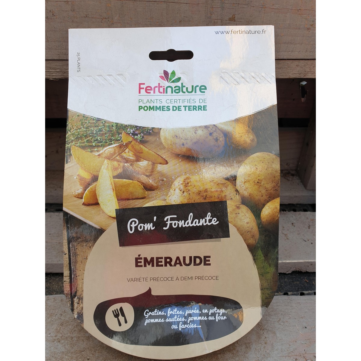   EMERAUDE F 25/35 25PL  25 plants