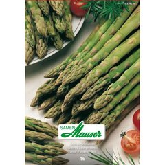   Griffe d'asperge verte Verte Selma  16Griffes