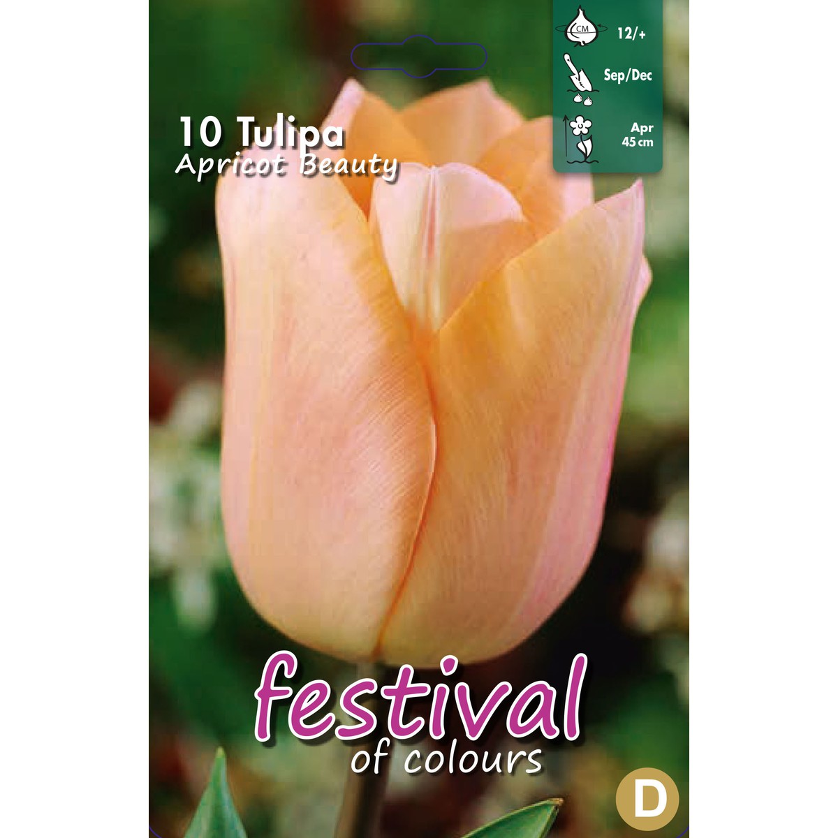   Tulipes 'Abricot Beauty'  10 pcs 12/