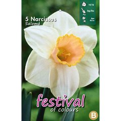   Narcissus 'Salome'  5 pcs 14/16