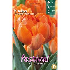   Tulipes 'Orange Princess'  10 pcs 12/