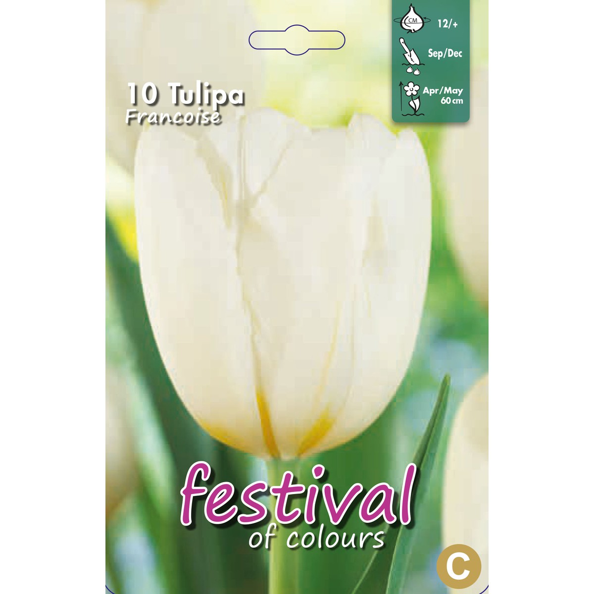   Tulipes 'Francoise'  10 pcs 12/