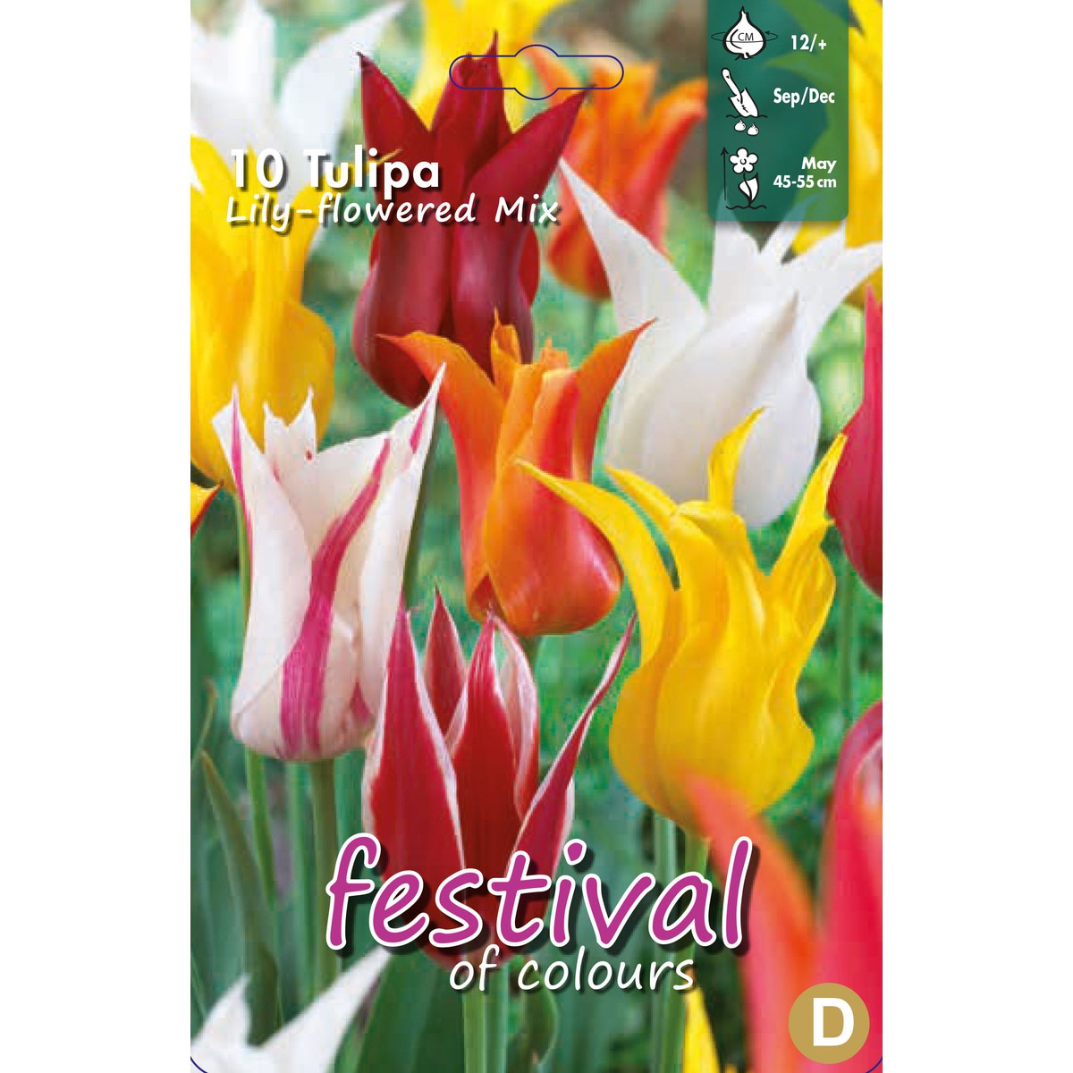   Tulipes fleurs de Lys en mélange  10 pcs 12/