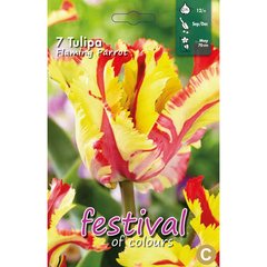   Tulipes 'Flaming Parrot'  10 pcs 12/