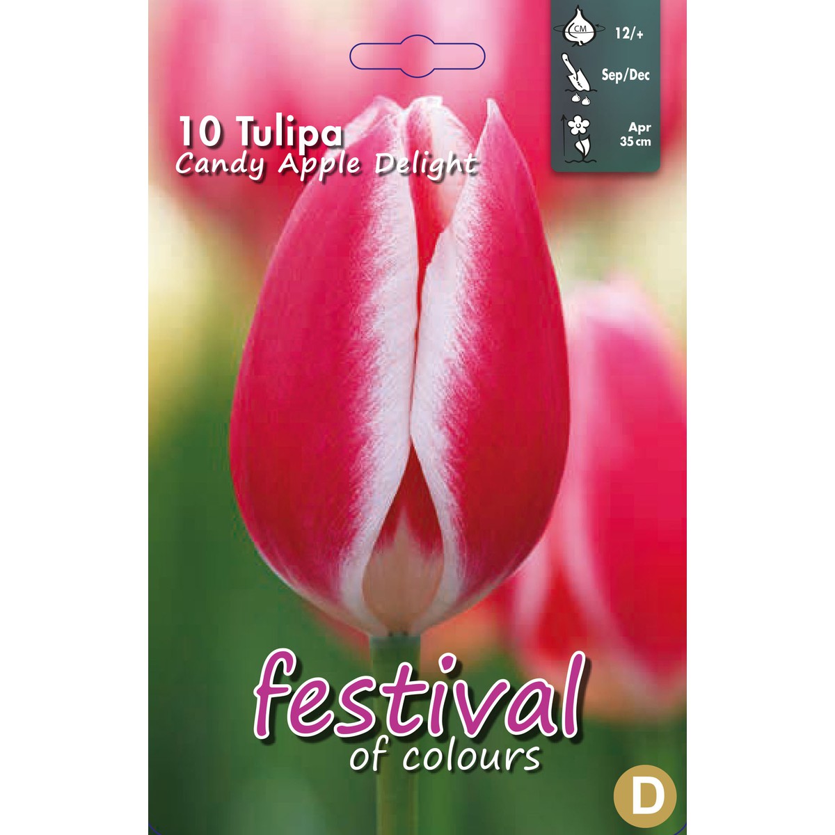   Tulipes Candy Apple Delight  10 pcs 12/