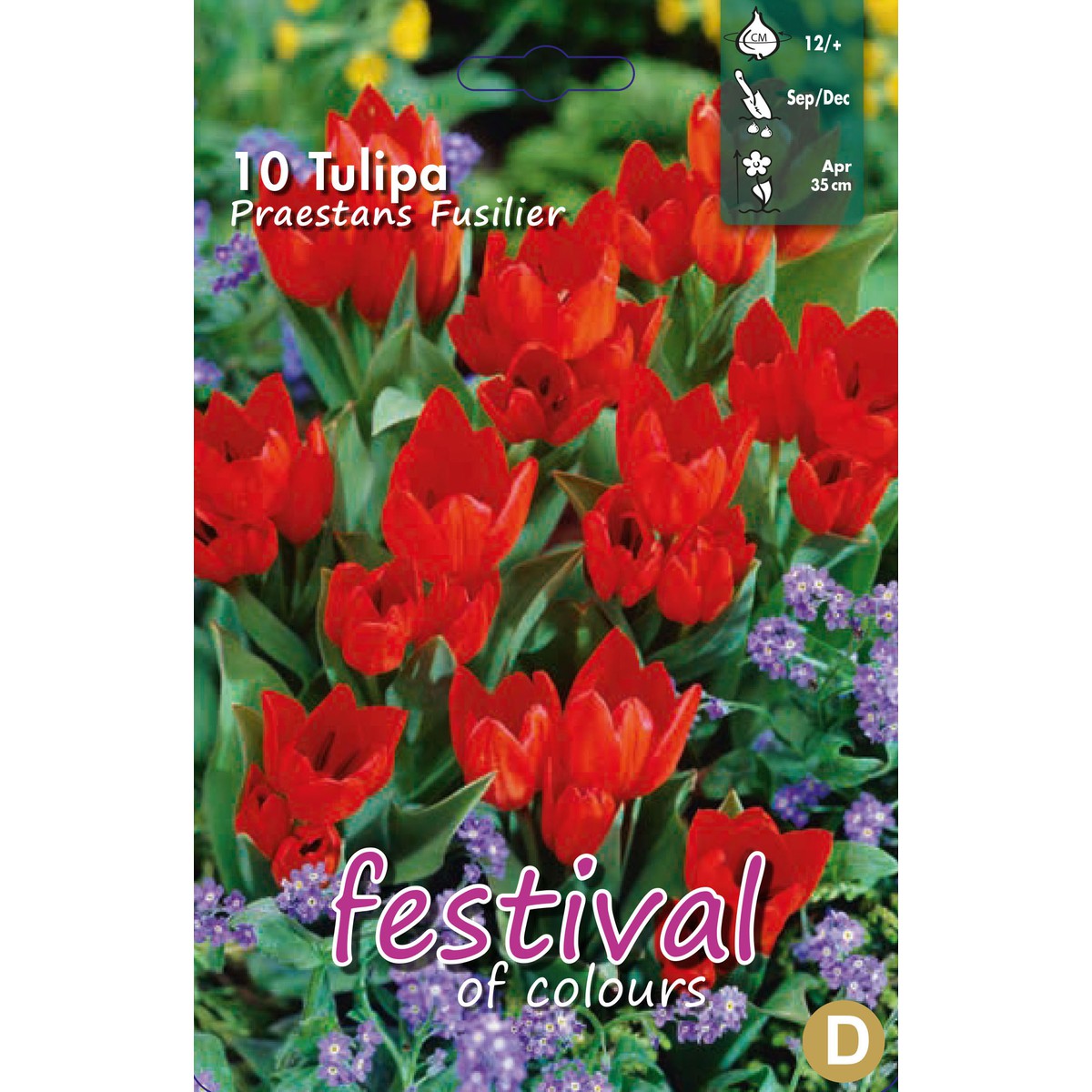   Tulipes 'Praestans Fusilier'  10 pcs 12/