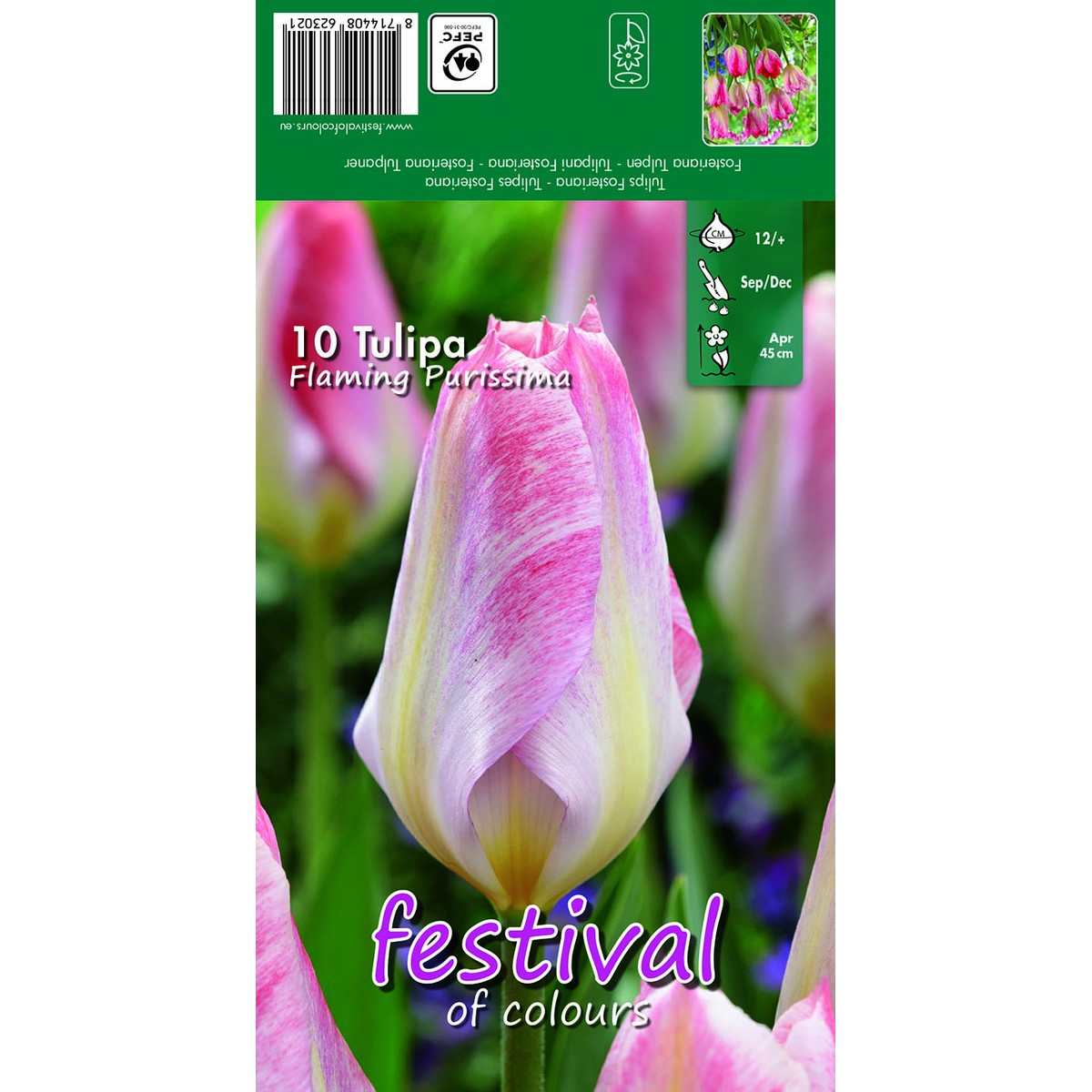   Tulipes Flaming Purissima  10 pcs 12/