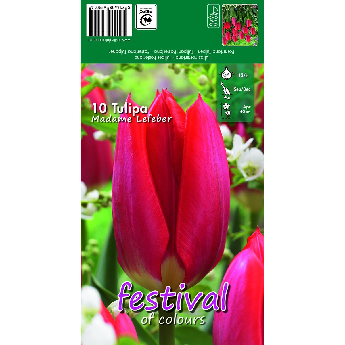   Tulipes 'Madame Lefeber'  10 pcs 12/