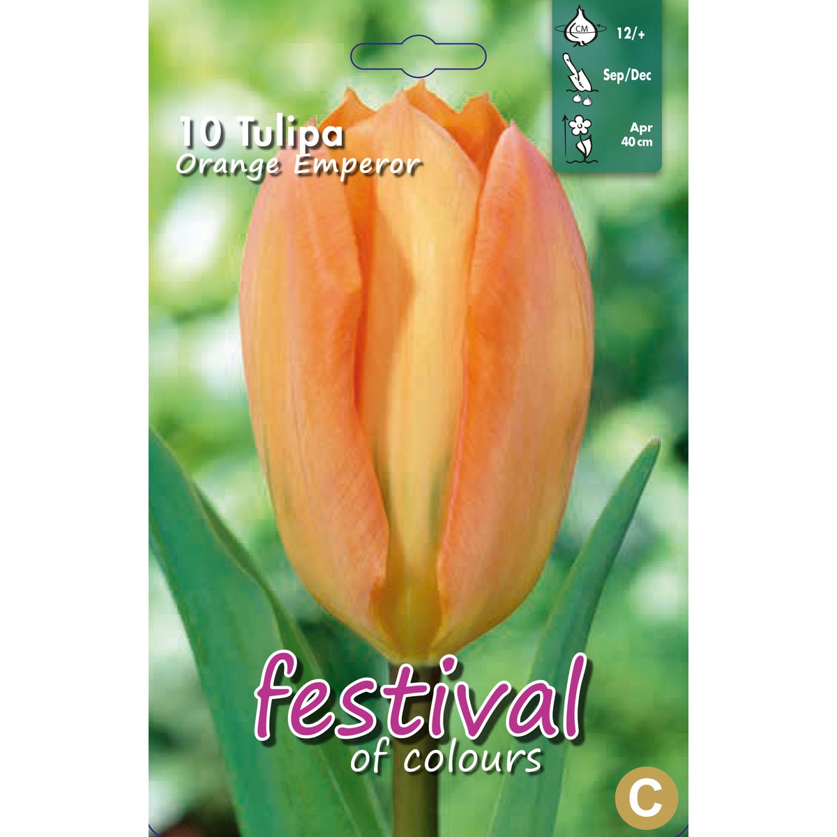   Tulipes 'Orange Emperor'  10 pcs 12/
