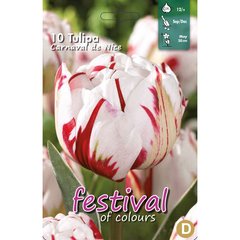   Tulipes 'Carnaval de Nice'  12/