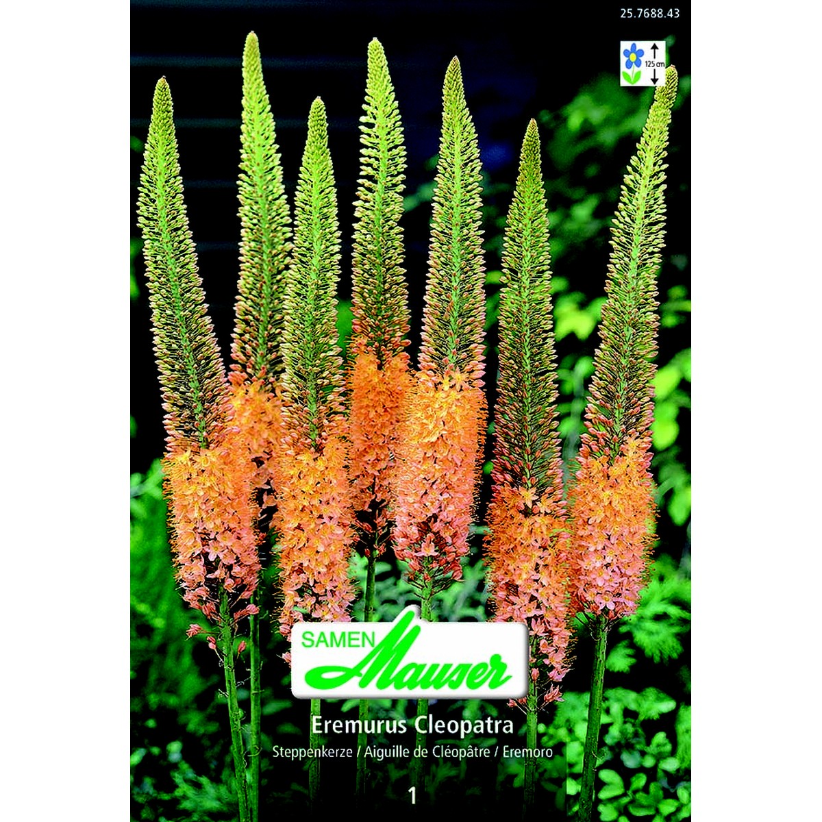   Eremurus 'Cleopatra'1  14/