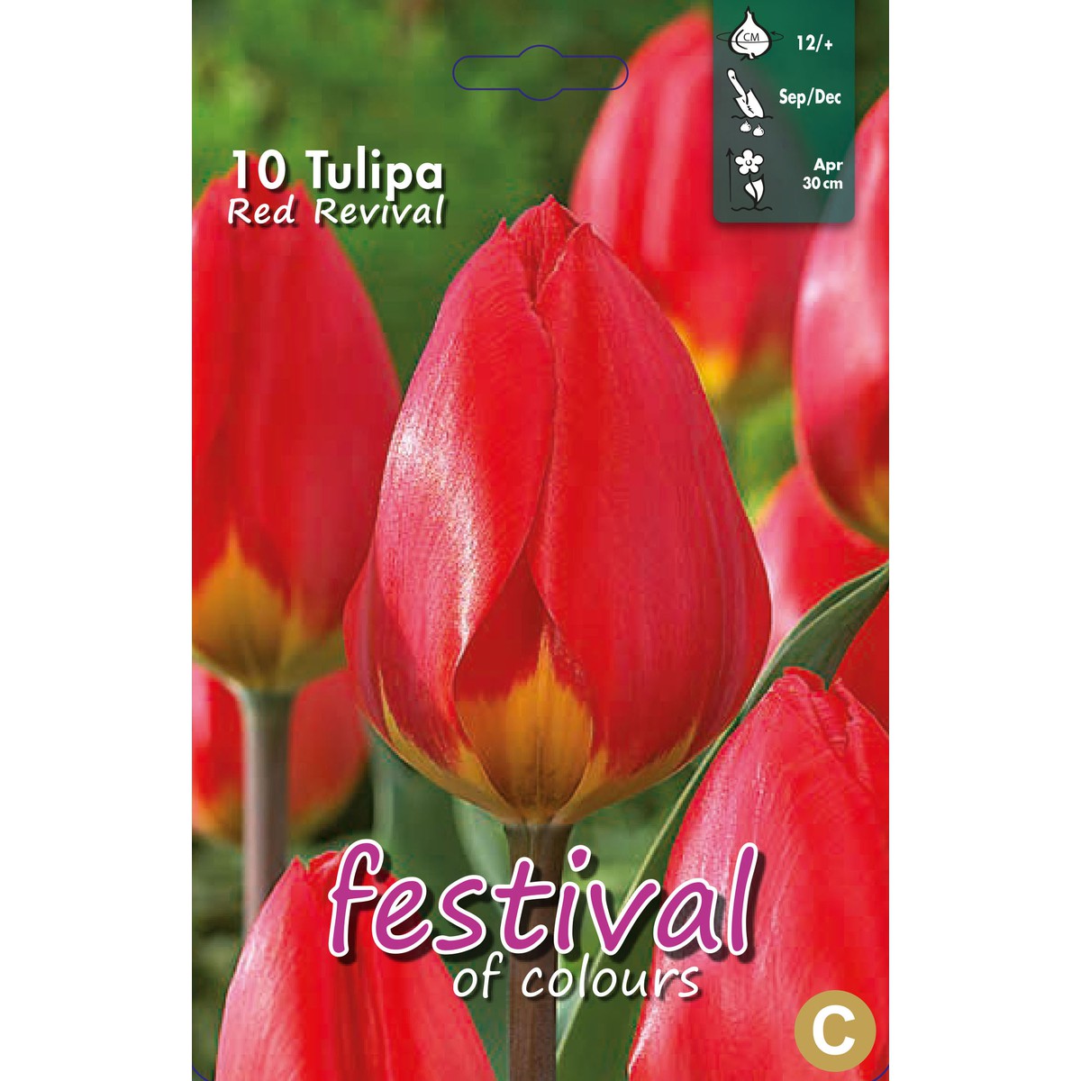   Tulipes 'Red Revival'  10 pcs 12/