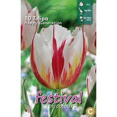   Tulipes Happy Generation'  10 pcs 12/