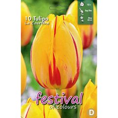   Tulipes 'La Courtine'  10 pcs 12/