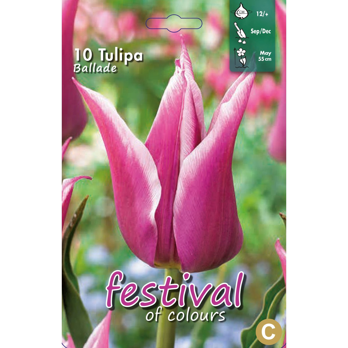   Tulipes Ballade 12/  10 pcs 12/