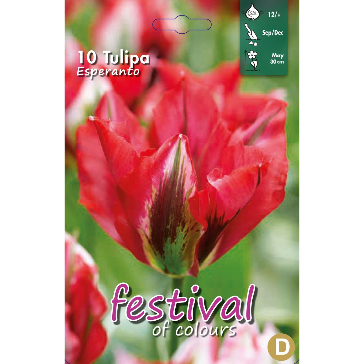   Tulipes 'Esperanto'  10 pcs 12/+