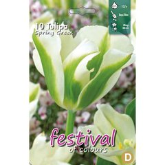   Tulipes 'Spring Green'  10 pce 12/