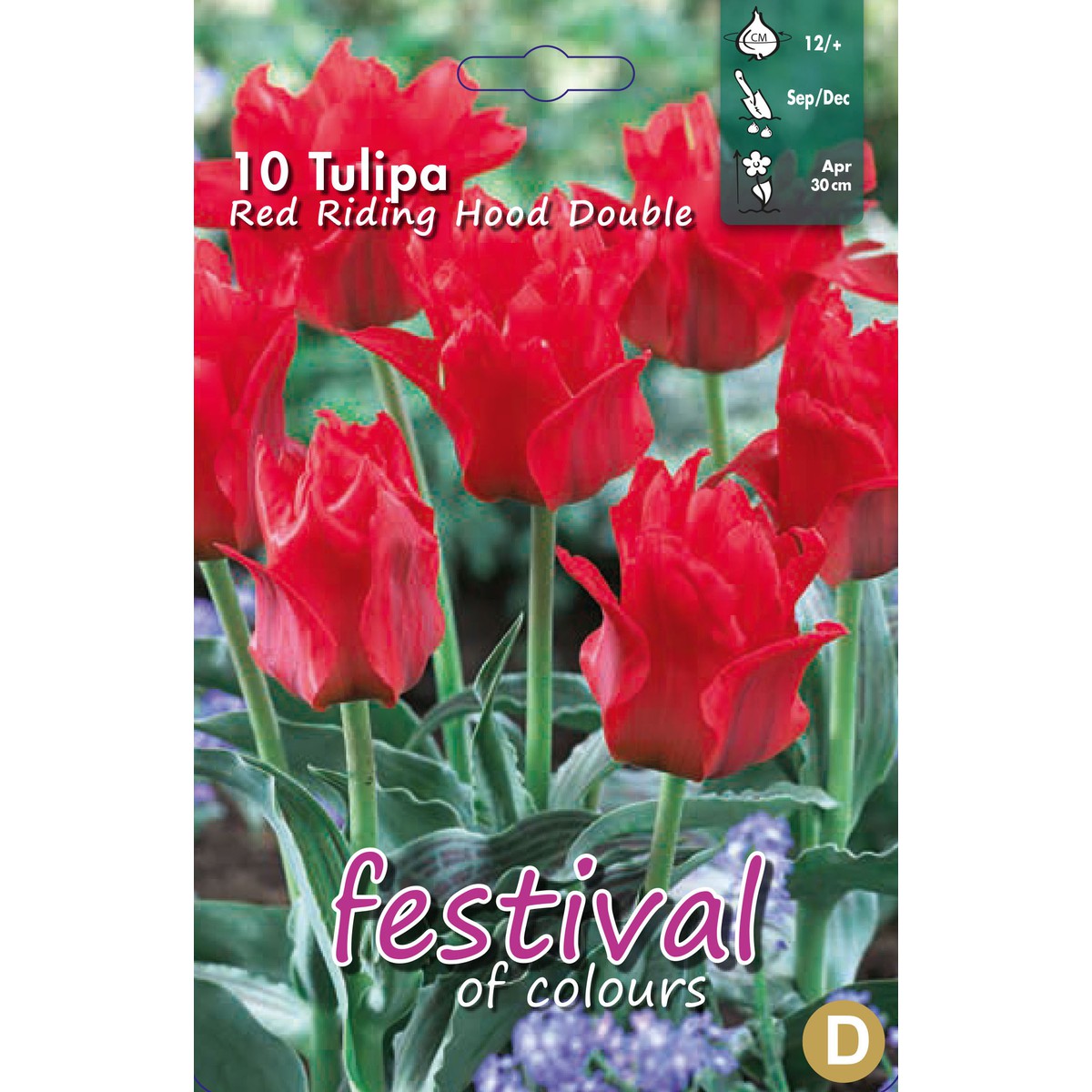   Tulipes greigii 'Red Riding Hood double'  10 pcs 12/+