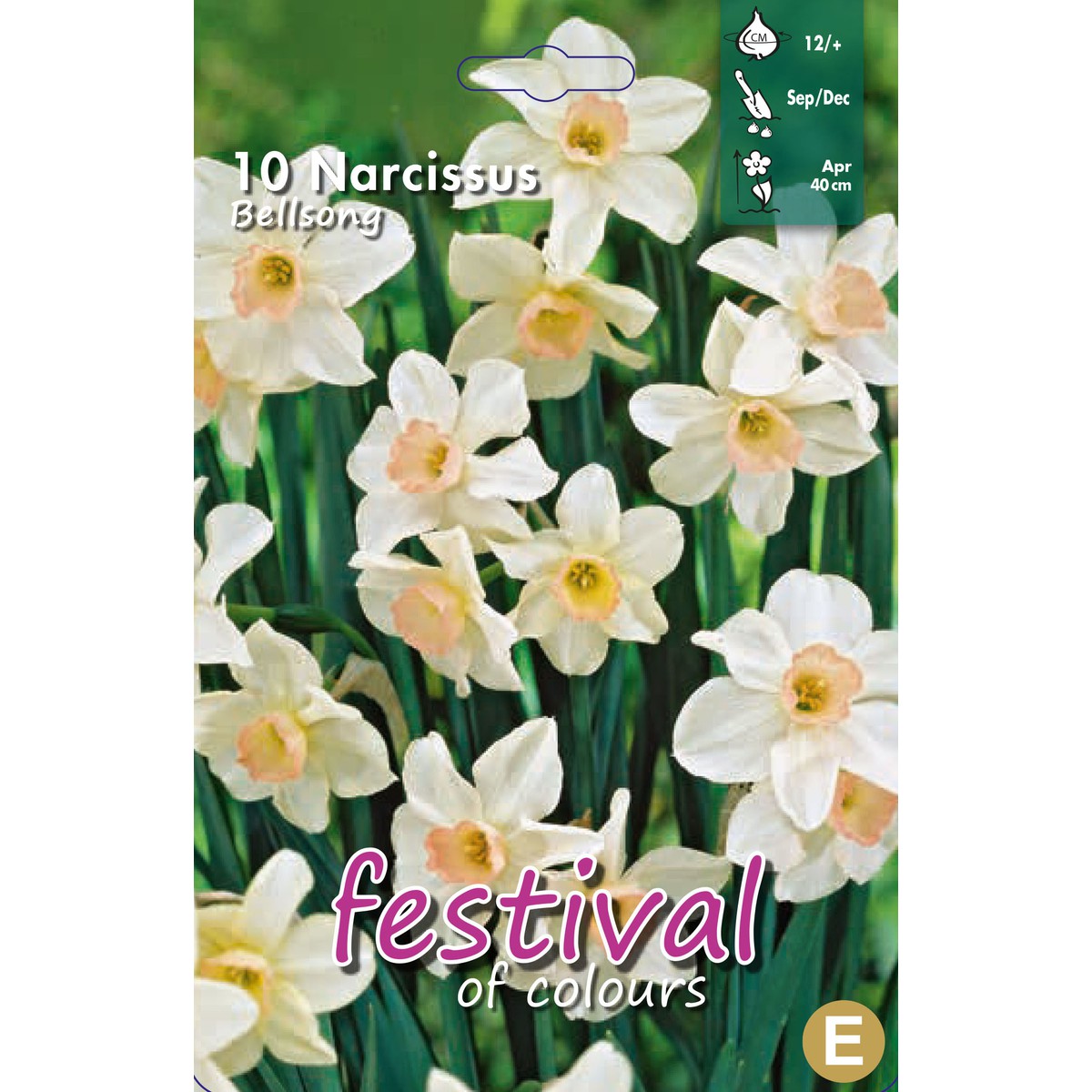   Narcissus 'Bell Song'  5 pcs 12/