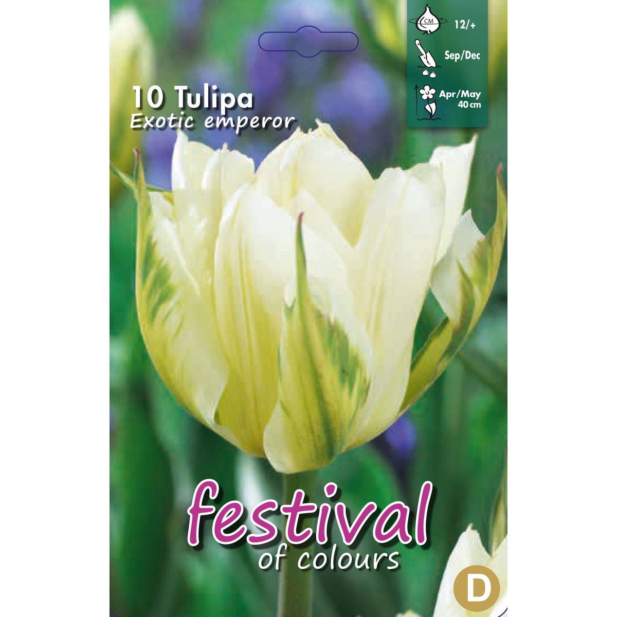   Tulipes 'Exotic Emperor'  10 pcs 12/+