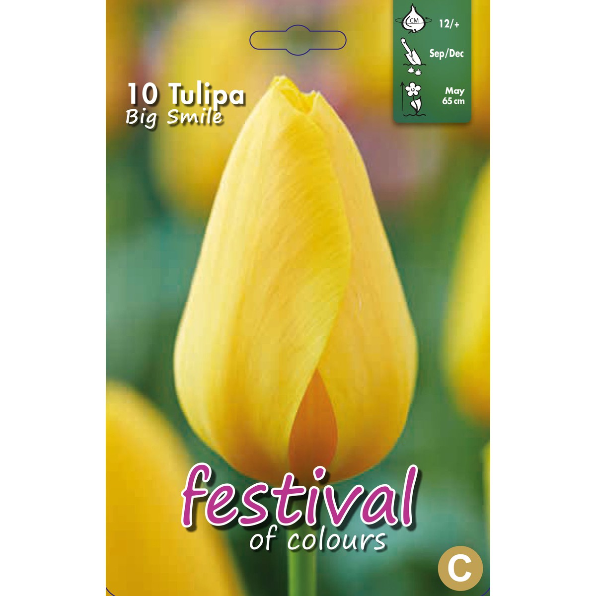   Tulipes 'Big Smile'  10 pcs 12/+