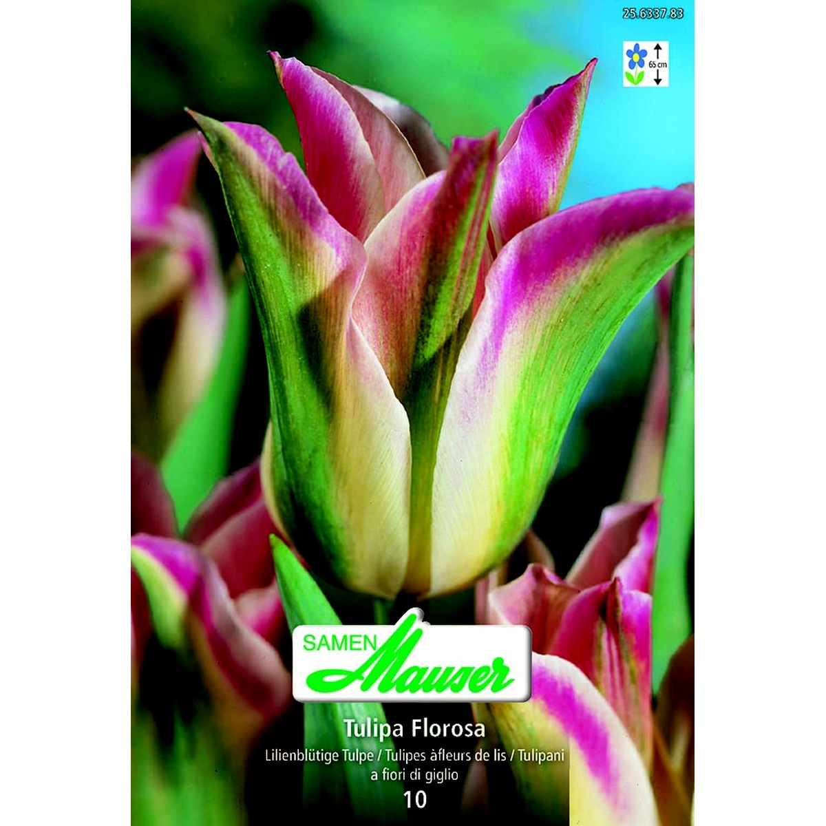   Tulipes.'Florosa'10.bulbes  12/