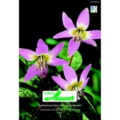   Erythronium dens-canis 'Lilac Wonder'  14/