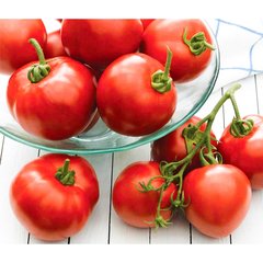 Schilliger Production  Tomate greffée 'Cristal'  Pot de 12 cm
