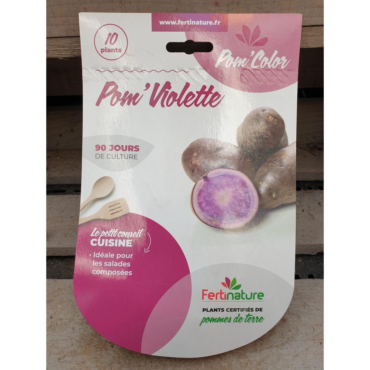   POM' VIOLETTE 28/35 10PL  10 plants