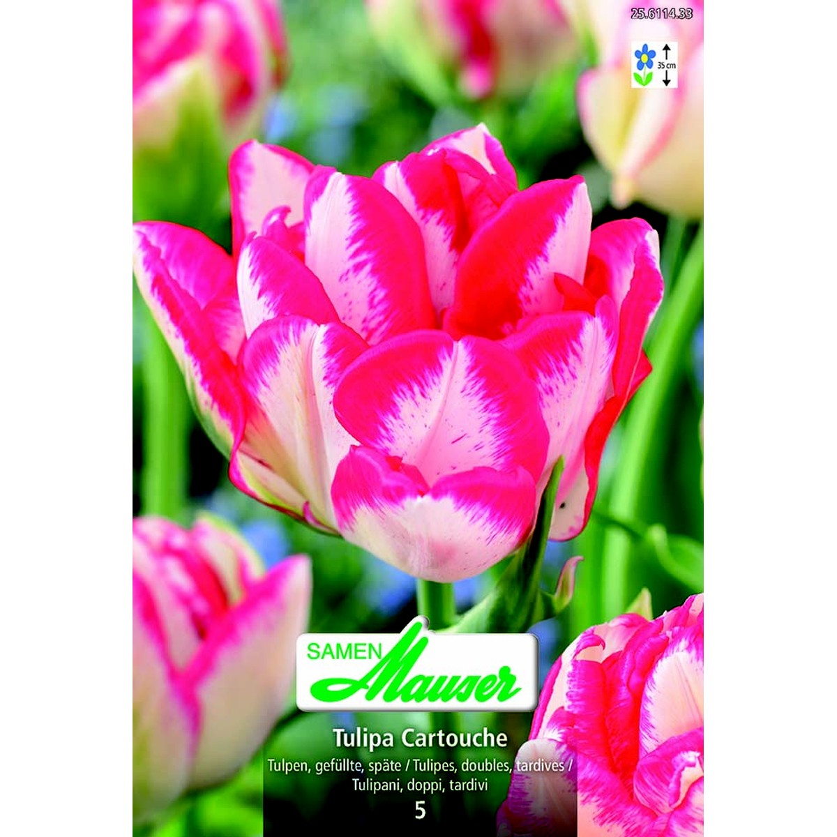   Tulipe TTD Cartouche 5  12/
