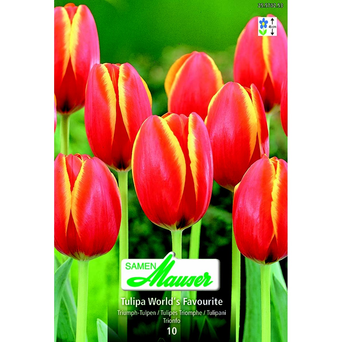   Tulipe TT Worlds's Favourite 10  12/